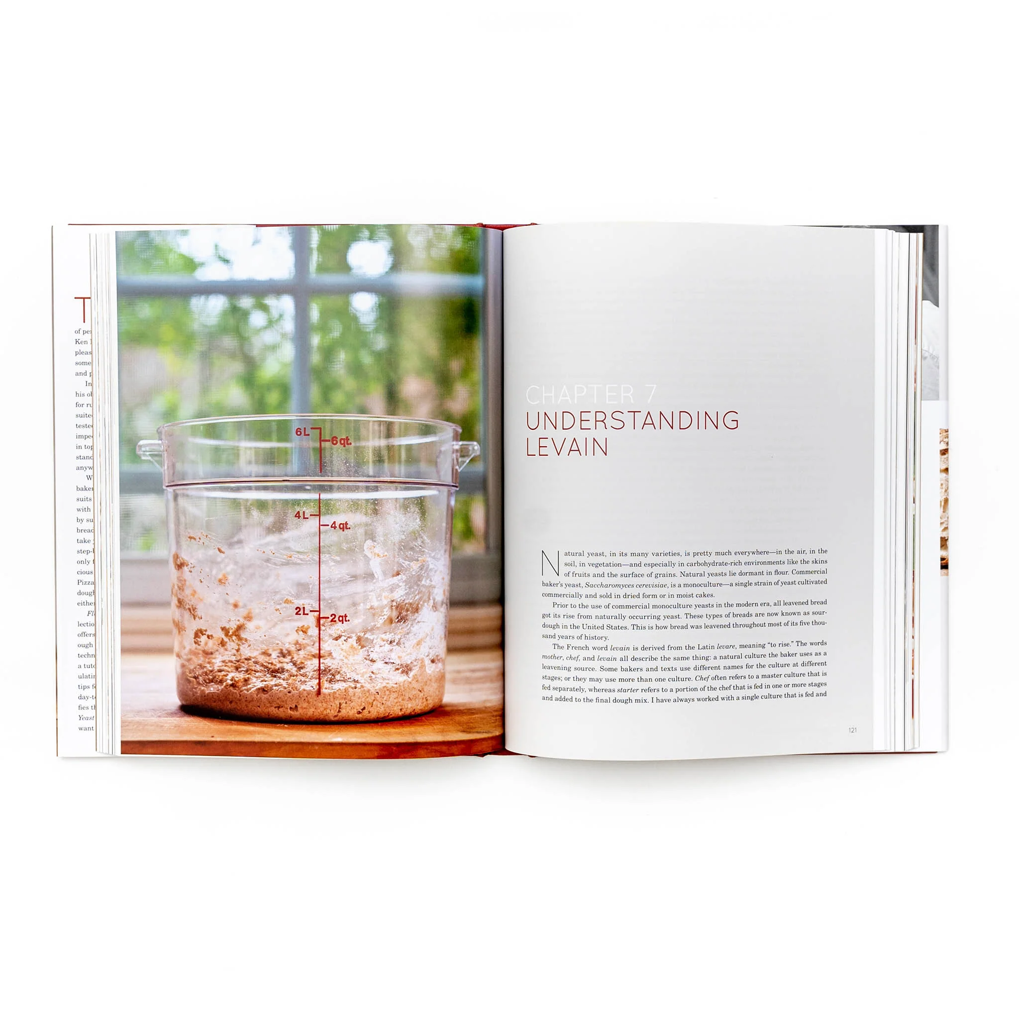 Flour, Water, Salt, Yeast by Ken Forkish - Image 7