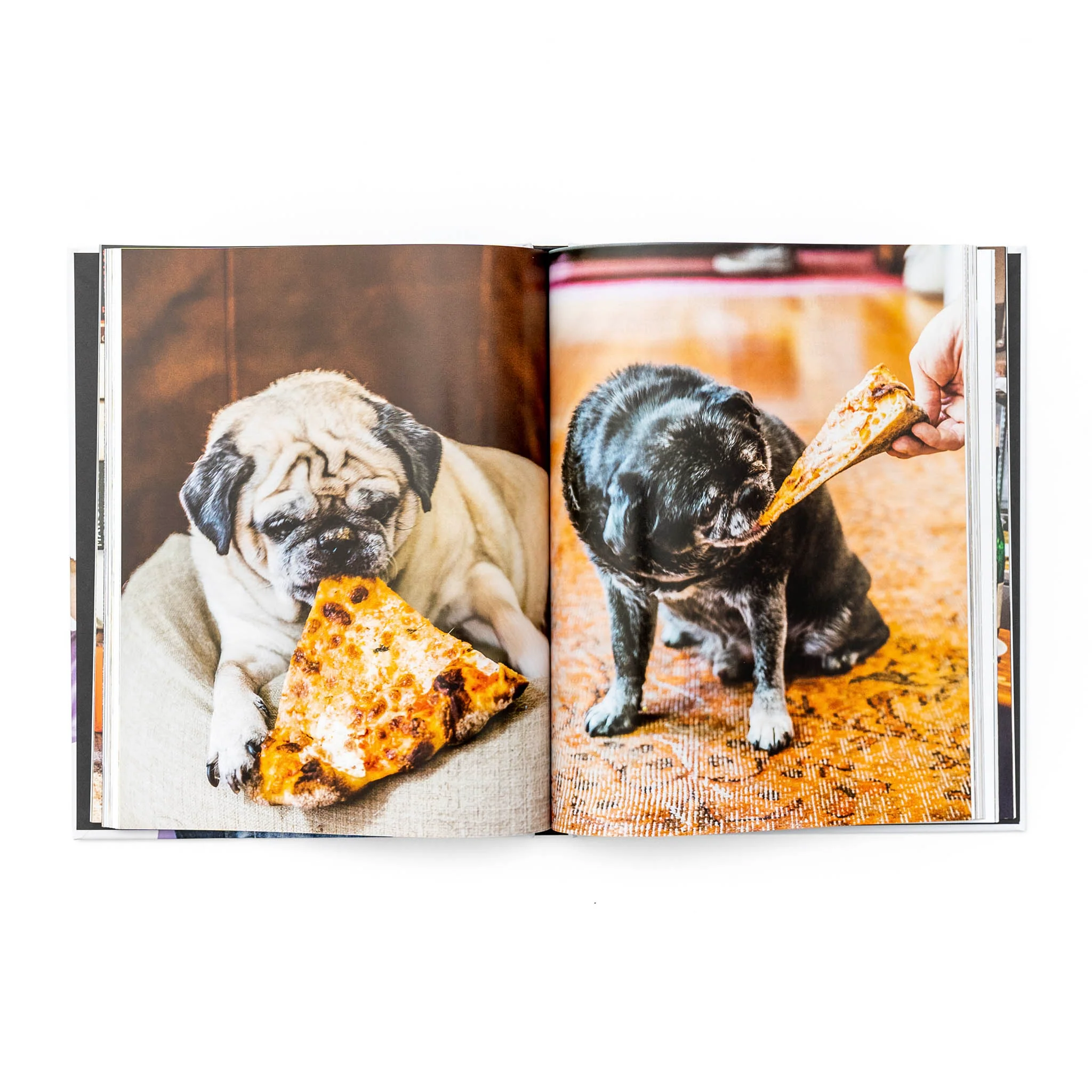 Pizza Camp by Joe Beddia - Image 5